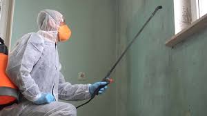 Corsicana, TX Mold Prevention & Removal  Company