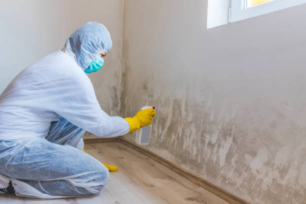 Best Crawl Space Mold Remediation  in Corsicana, TX